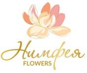 Нимфея Flowers